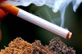 World No Tobacco Day 2022 What is passive smoking and risk related to it scsg 91