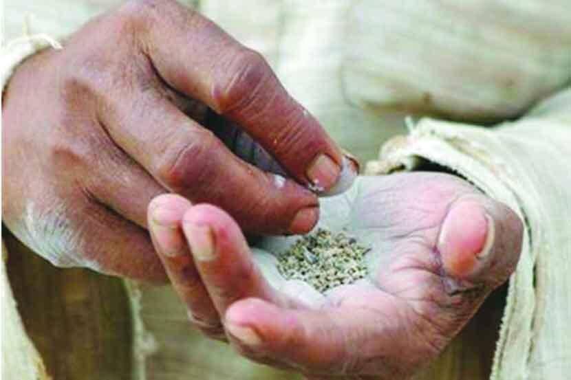 (संग्रहीत छायाचित्र)