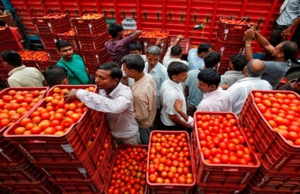 Tomato price hike