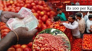 Tomato price