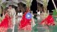 viral wedding, swiming pool video