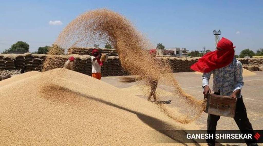 Government of India bans wheat exports