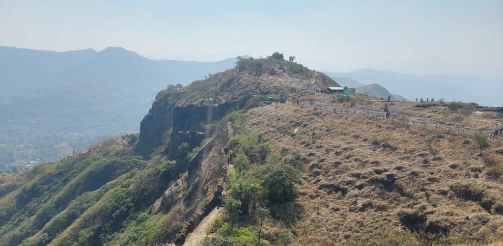 Bee attack on tourists at Sinhagad Fort