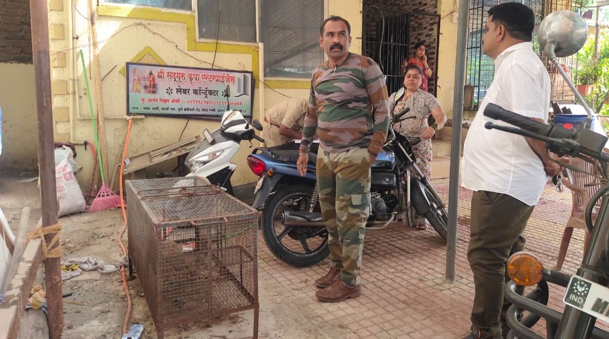 Forest department action against buisnessman of Dombivli over mongoose