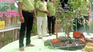 Husbands Perform Pimpal Purnima