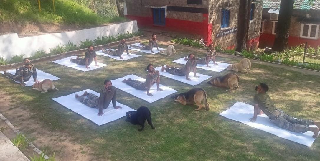 International Yoga Day 2022 celebration photos