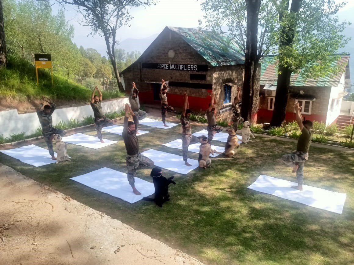 International Yoga Day 2022 celebration photos