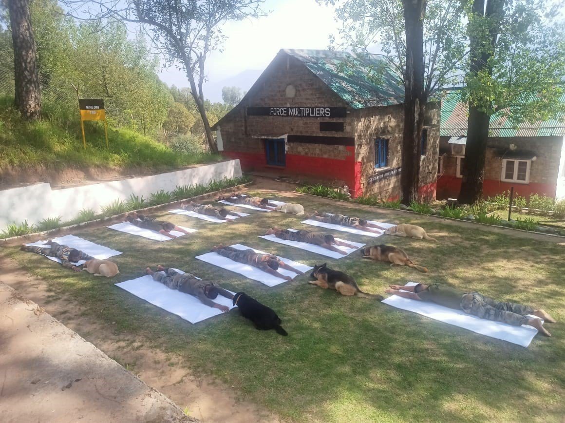 International Yoga Day 2022 celebration photos