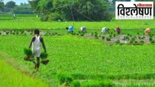 Loksatta Explained farming sri lanka