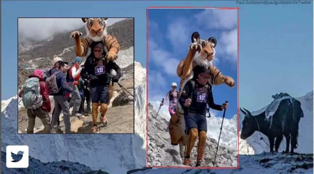 Man-runs-Everest-Marathon-in-tiger-suit