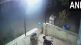 Leopard, Nashik, Leopard Attack Dog,