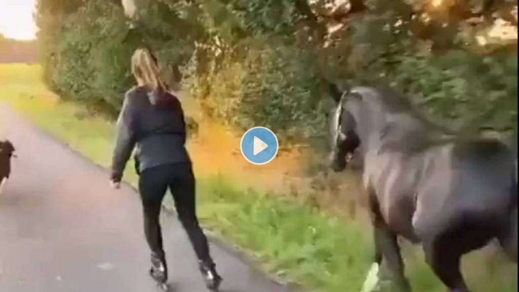 VIRAL VIDEO : घोडा आणि कुत्र्यासोबत महिलेने सुरू केली स्केटिंग स्पर्धा, पाहा कोण जिंकतं?