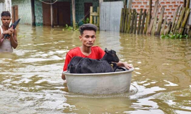 आसाममध्ये पुराने हाहाकार माजवला असून यात ८१ जणांचा मृत्यू झाला आहे. राज्याच्या काही भागात पाऊस सुरूच असल्याने, ३२ जिल्ह्यांतील ४५ लाखांहून अधिक लोकांना याचा फटका बसला आहे. 