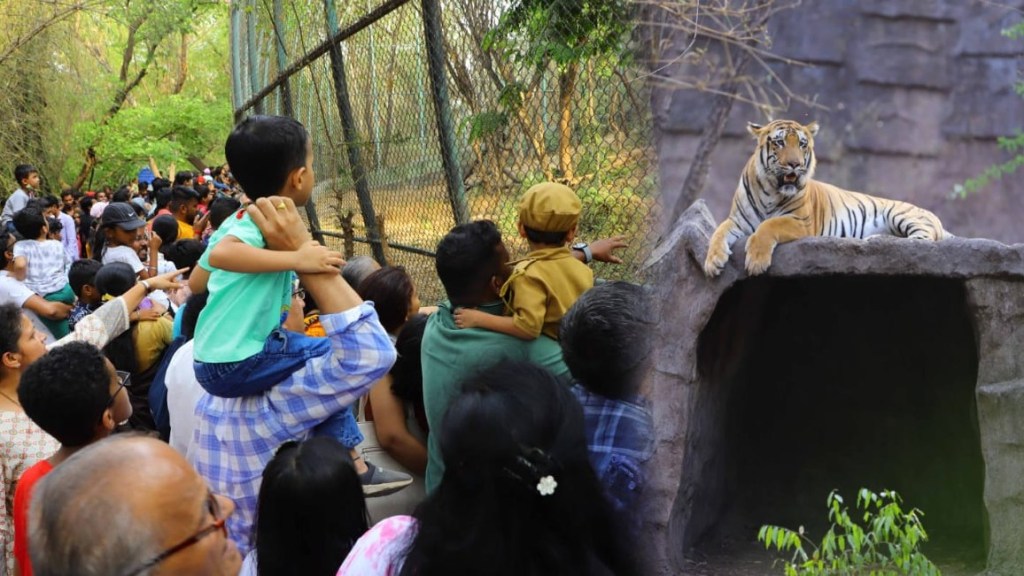 पुणे : राजीव गांधी प्राणीसंग्रहालयाला विक्रमी संख्येने पर्यटकांची भेट