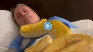 Snake video