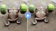 frog lifting weights
