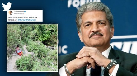 anand mahindra viral twitter post