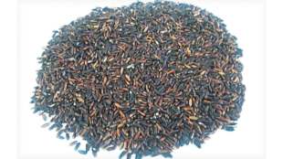 black-rice