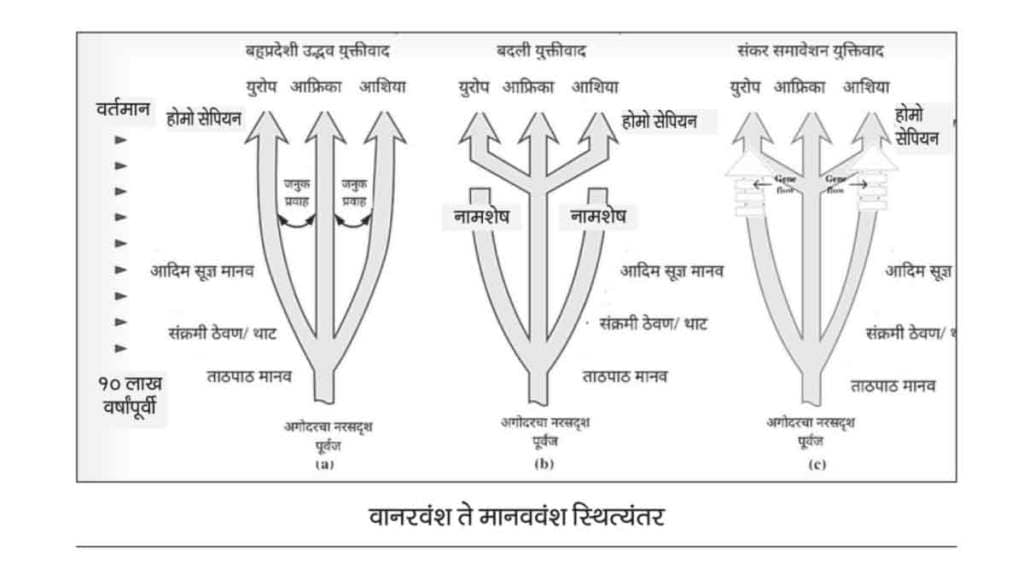 सृष्टी-दृष्टी : आफ्रिकेतून दूरवर झेप