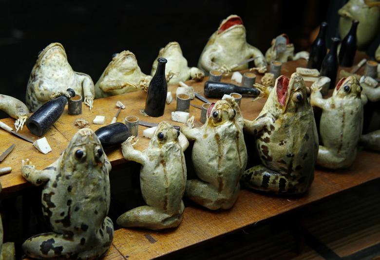 Appetite for Frogs Legs in Europe Driving Species to Extinction Deadly Dish Report