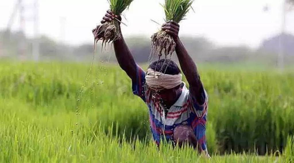 kharif-2 kharif-2