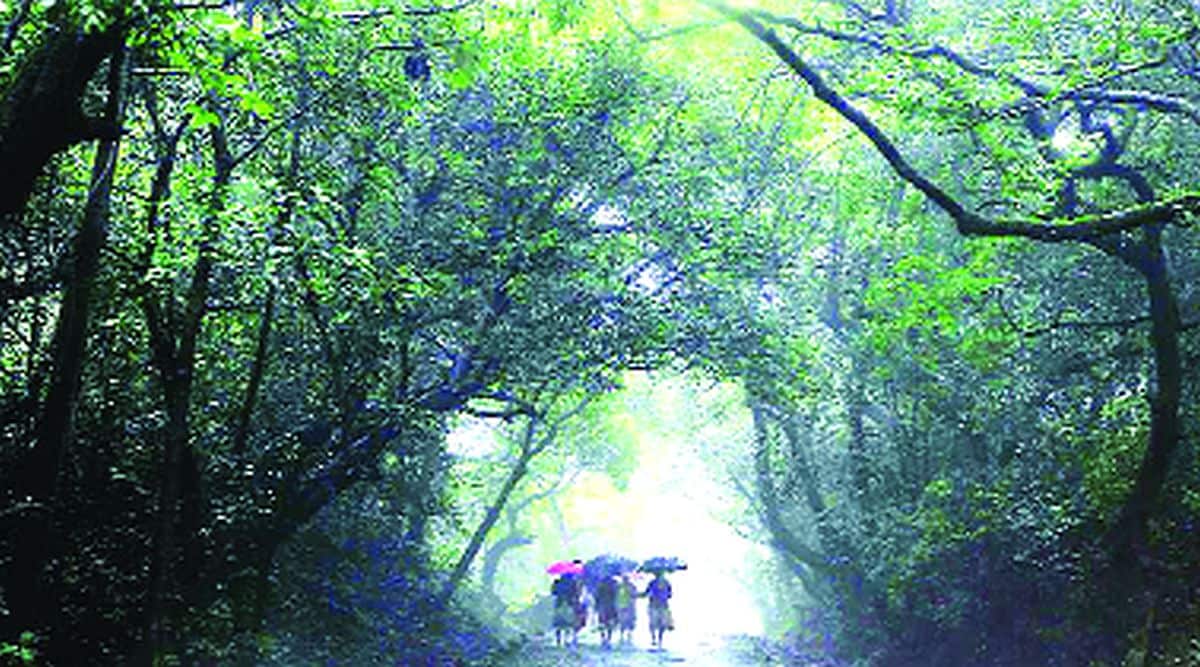 mahabaleshwar tourism