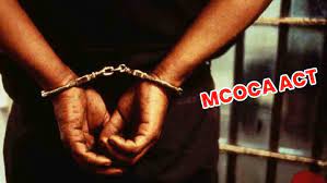 mcoca act Mokka action against the terror gang