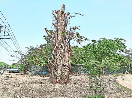 ns2 tree