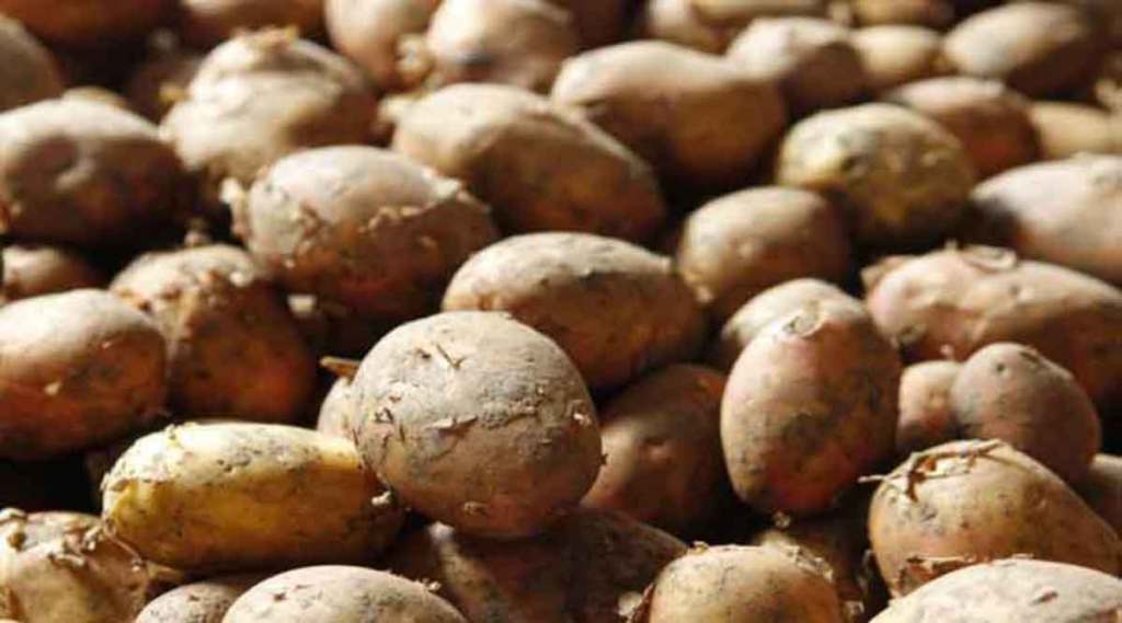 बटाट्याच्या घाऊक दरात आणखी दोन रुपयांची वाढ ; किरकोळीत ग्राहकांची लूट