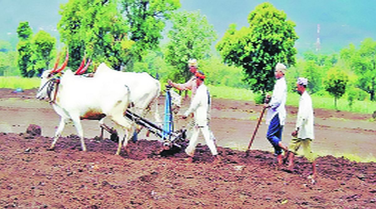 pv farmer