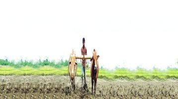 राज्यभरात फक्त १३ टक्के क्षेत्रावरच पेरण्या; असमाधानकारक पावसाचा परिणाम; भाज्या आणि शेतमाल आणखी महागण्याची भीती
