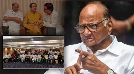 sharad pawar on eknath shinde shivsena rebel mla