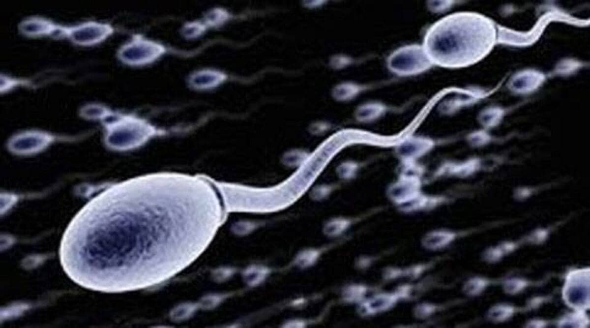 Sperm count decreases in men due to these 5 problems know how to improve it