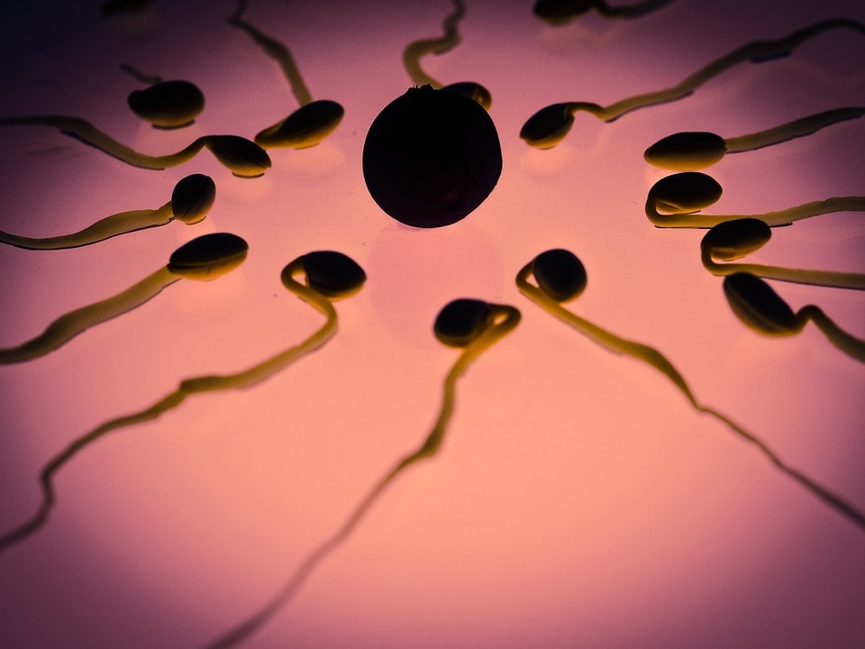 Sperm count decreases in men due to these 5 problems know how to improve it