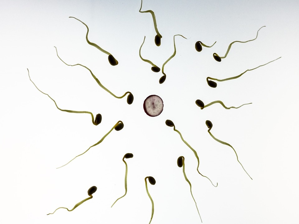 Sperm count decreases in men due to these 5 problems know how to improve it