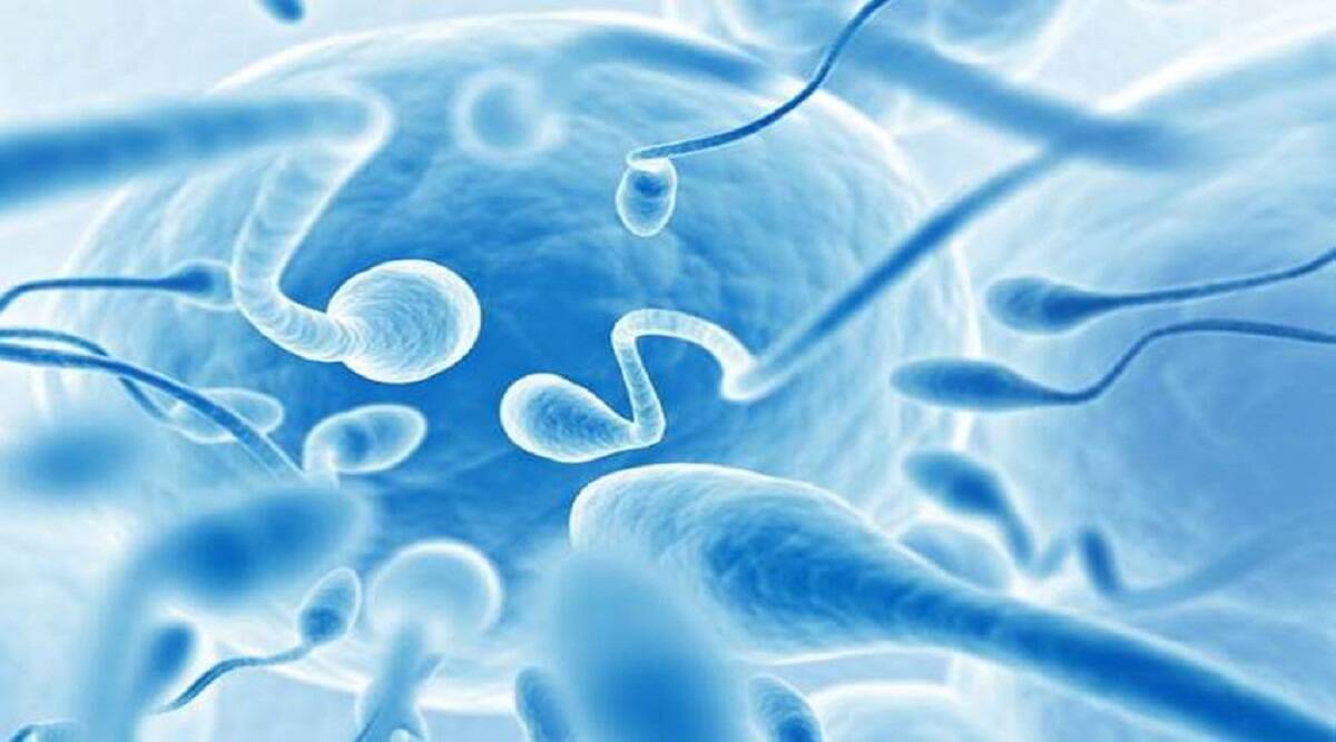 Sperm count decreases in men due to these 5 problems know how to improve it