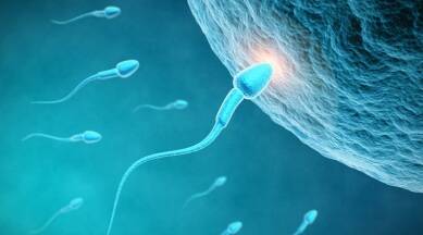 Sperm count decreases in men due to these 5 problems know how to improve it