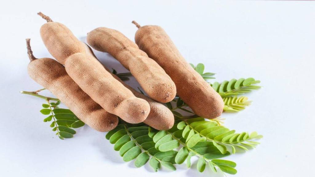 Tamarind For Skin Care: Use tamarind with 'these' methods to get beautiful skin; Get amazing benefits