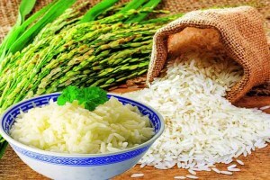 Beware of those who eat white rice every day