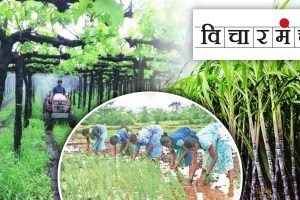 we should pursue multiple crop system