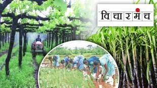 we should pursue multiple crop system