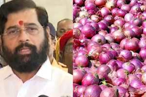 Eknath Shinde over Onion farmer