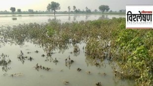 Farmers