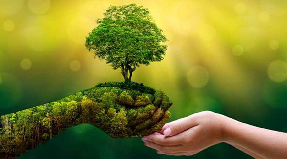 Green economy