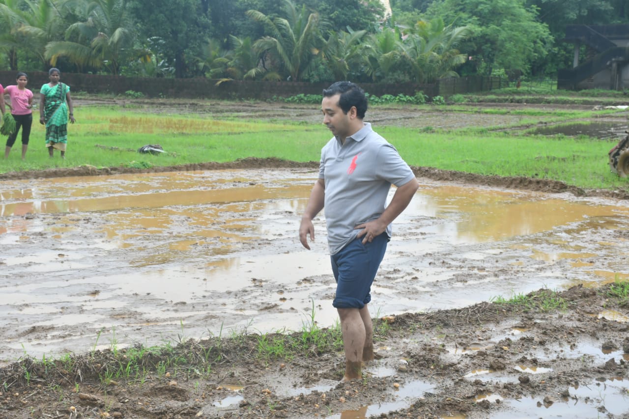 photos bjp leader nitesh rane farming at Kokan Farm