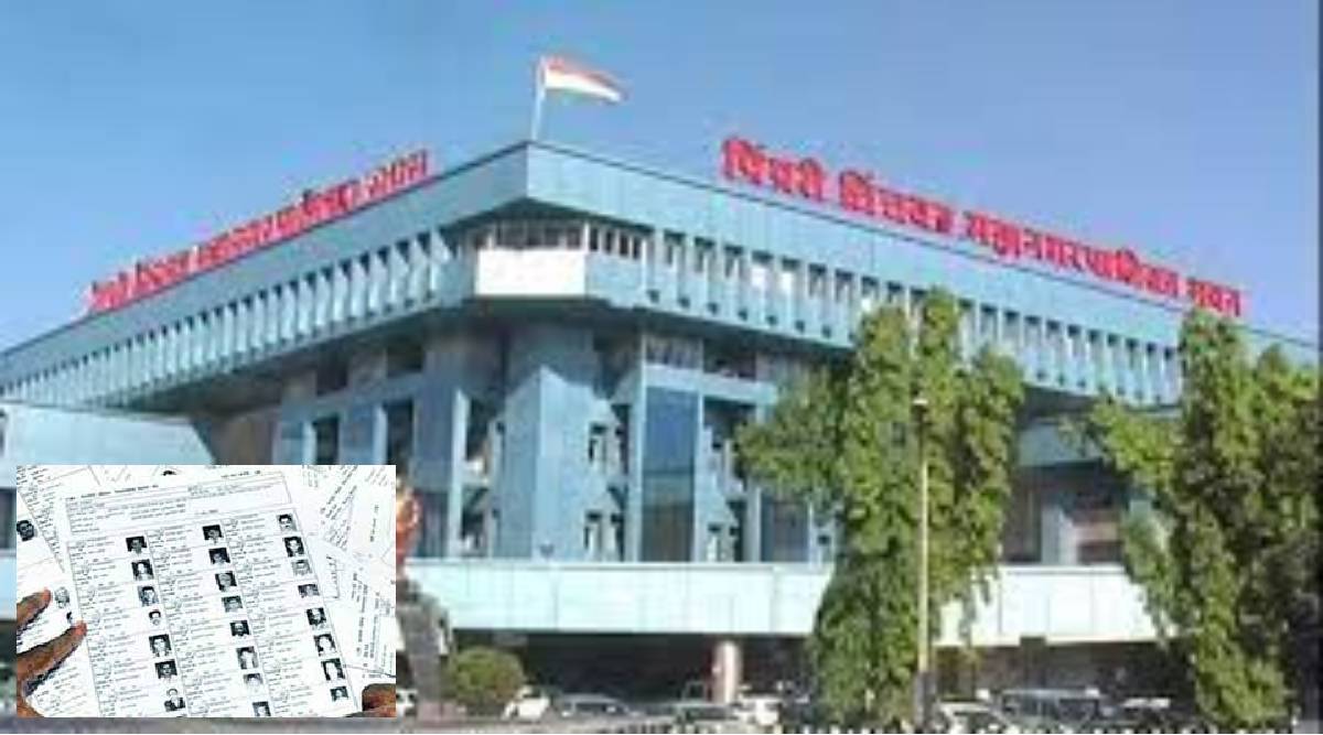 Pimpari voters