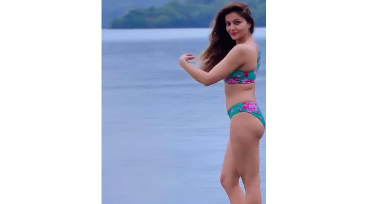 Rubina Dilaik shared bold photos in bikini