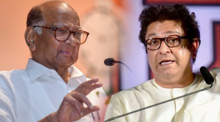 Sharad-Pawar-Raj-Thackeray-5