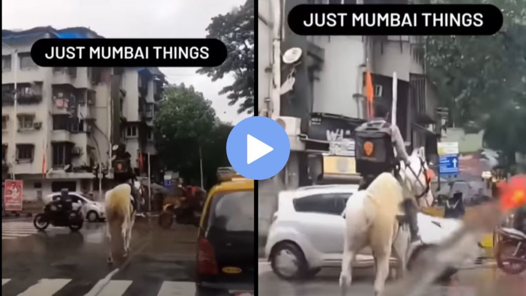 swiggy delivery boy on horse viral video