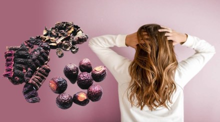 shikakai for hair